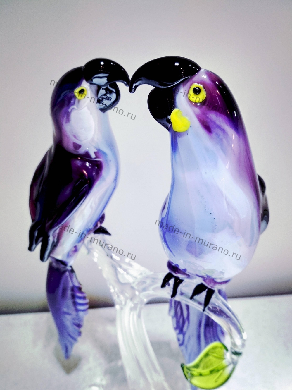 ���� ������������ Viola