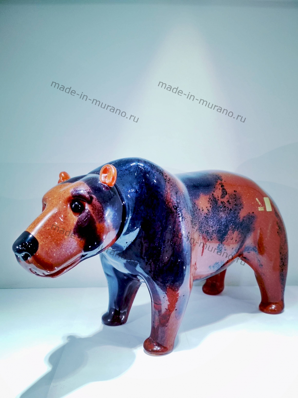 ������� Orso bruno