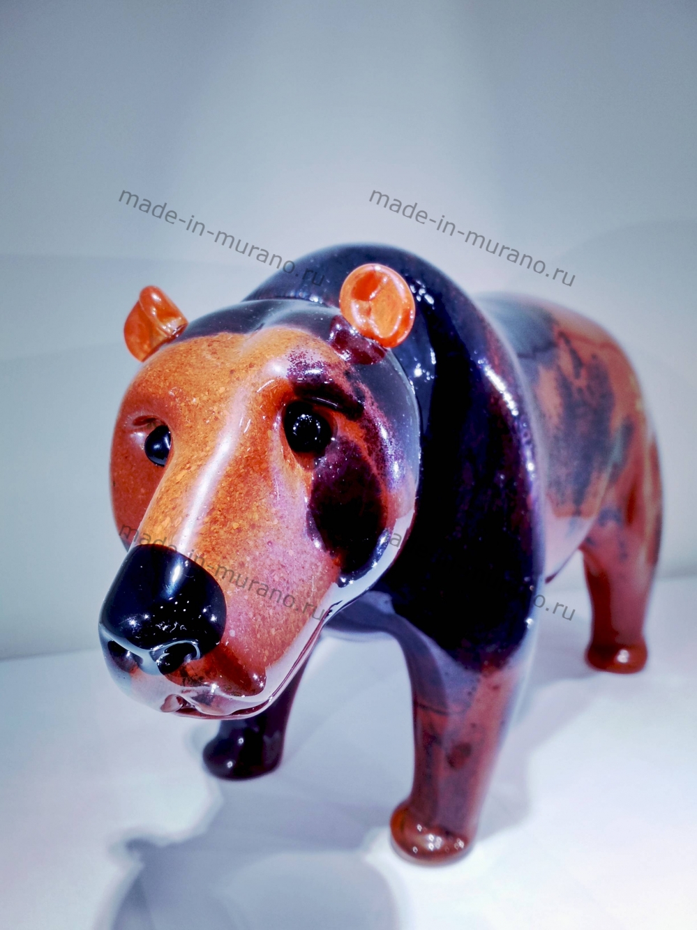 ������� Orso bruno