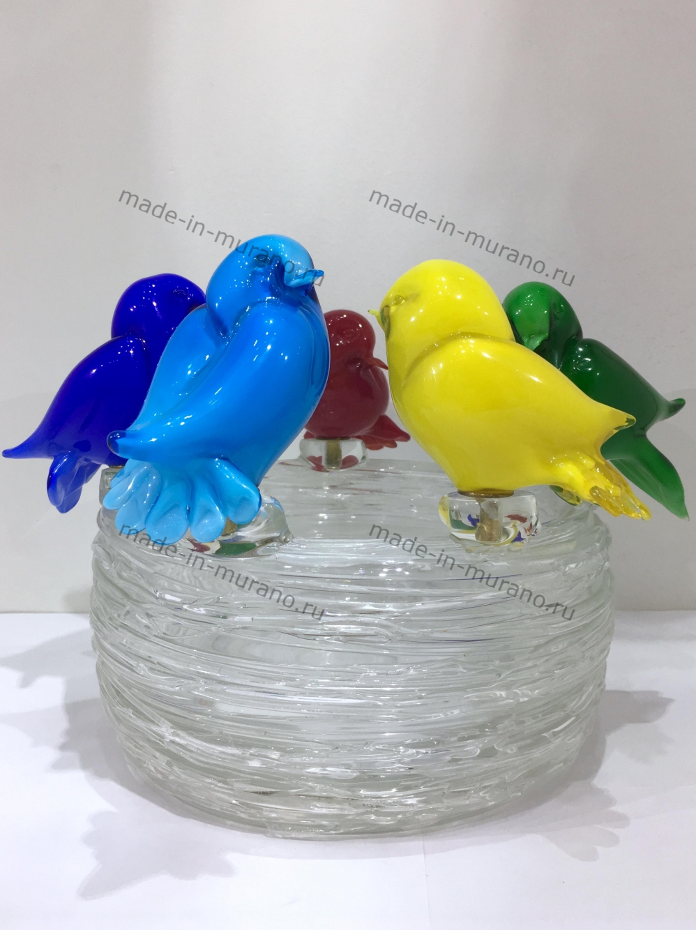 ���� � �������� Famiglia colore