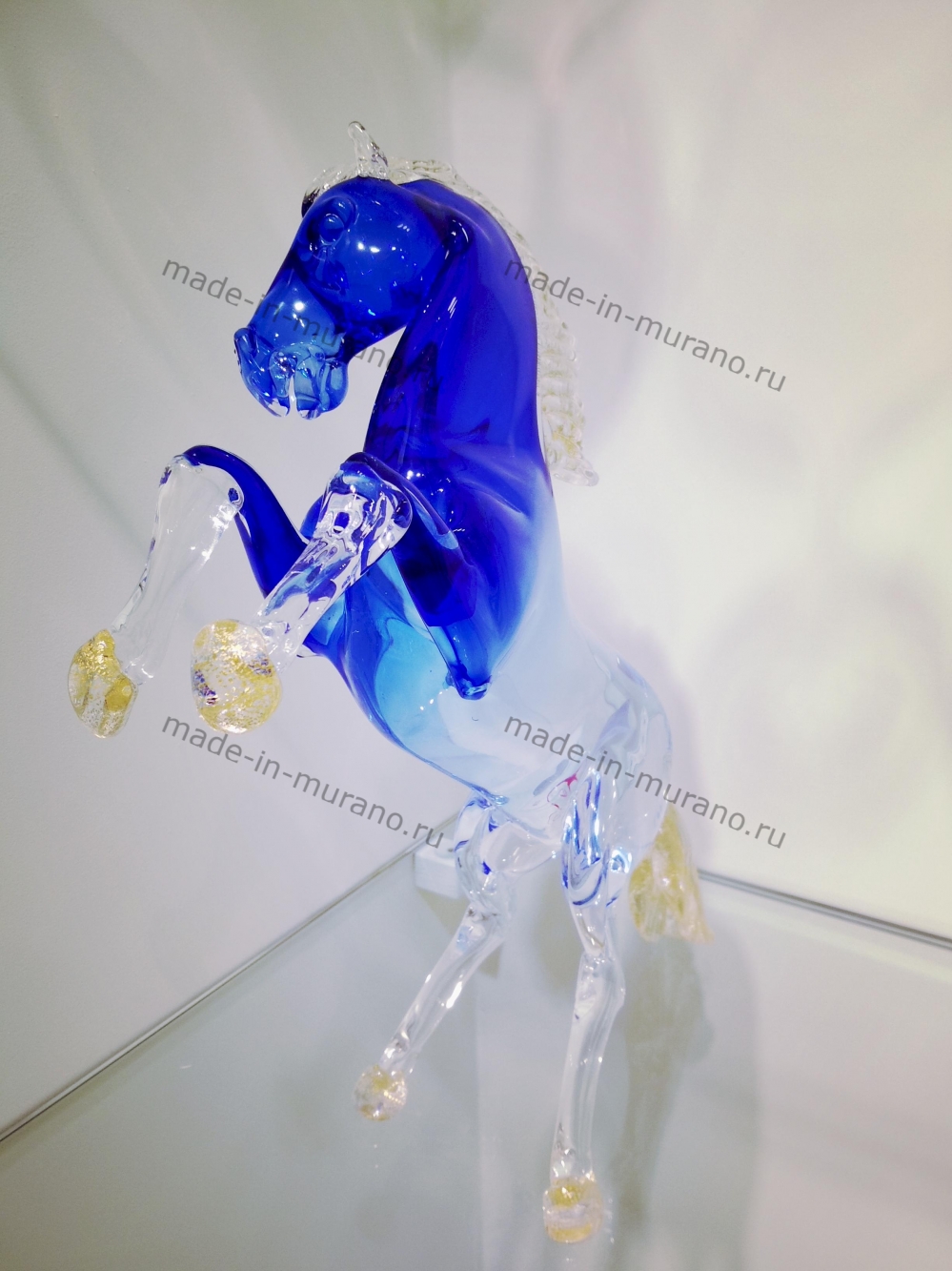 ���� Bucephalus Azzurro