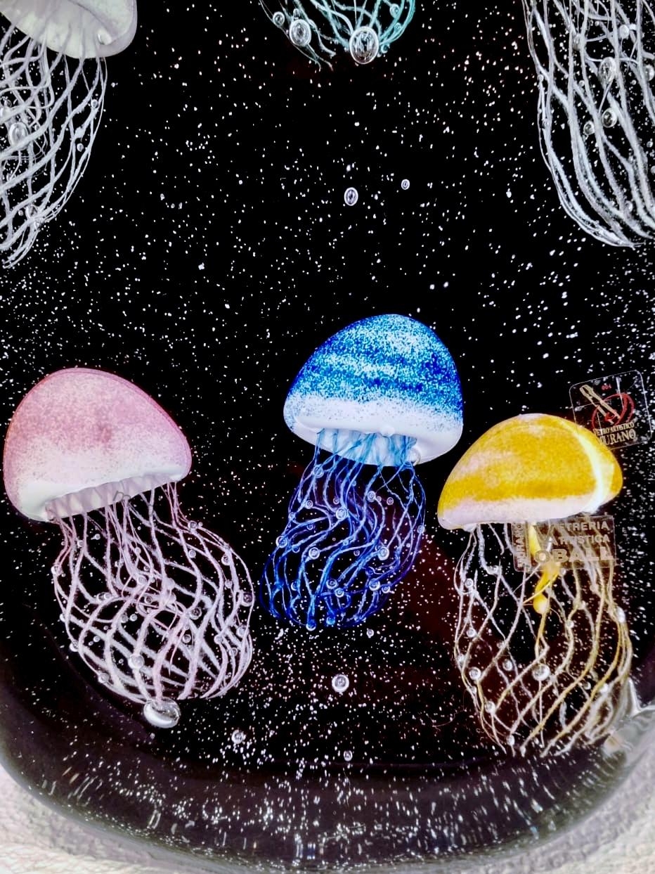 �������� Sei Meduse