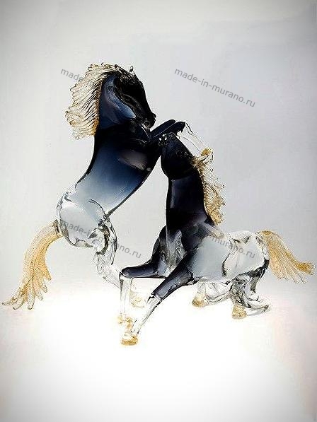 ���� Bucephalus grande