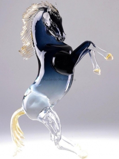 ���� Bucephalus grande