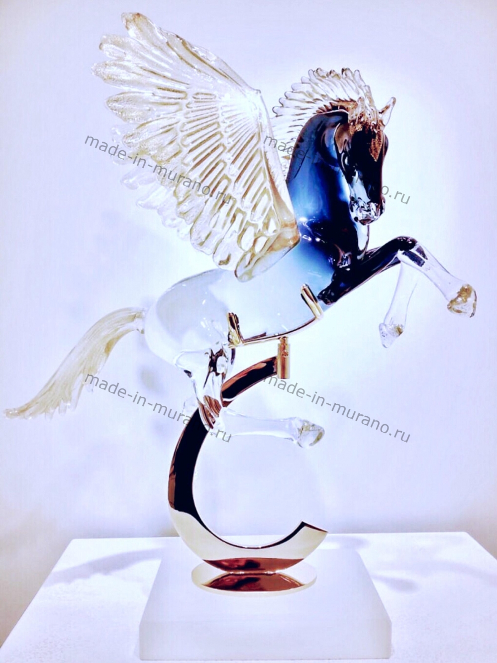 ����� Pegasus Fortunato Medio