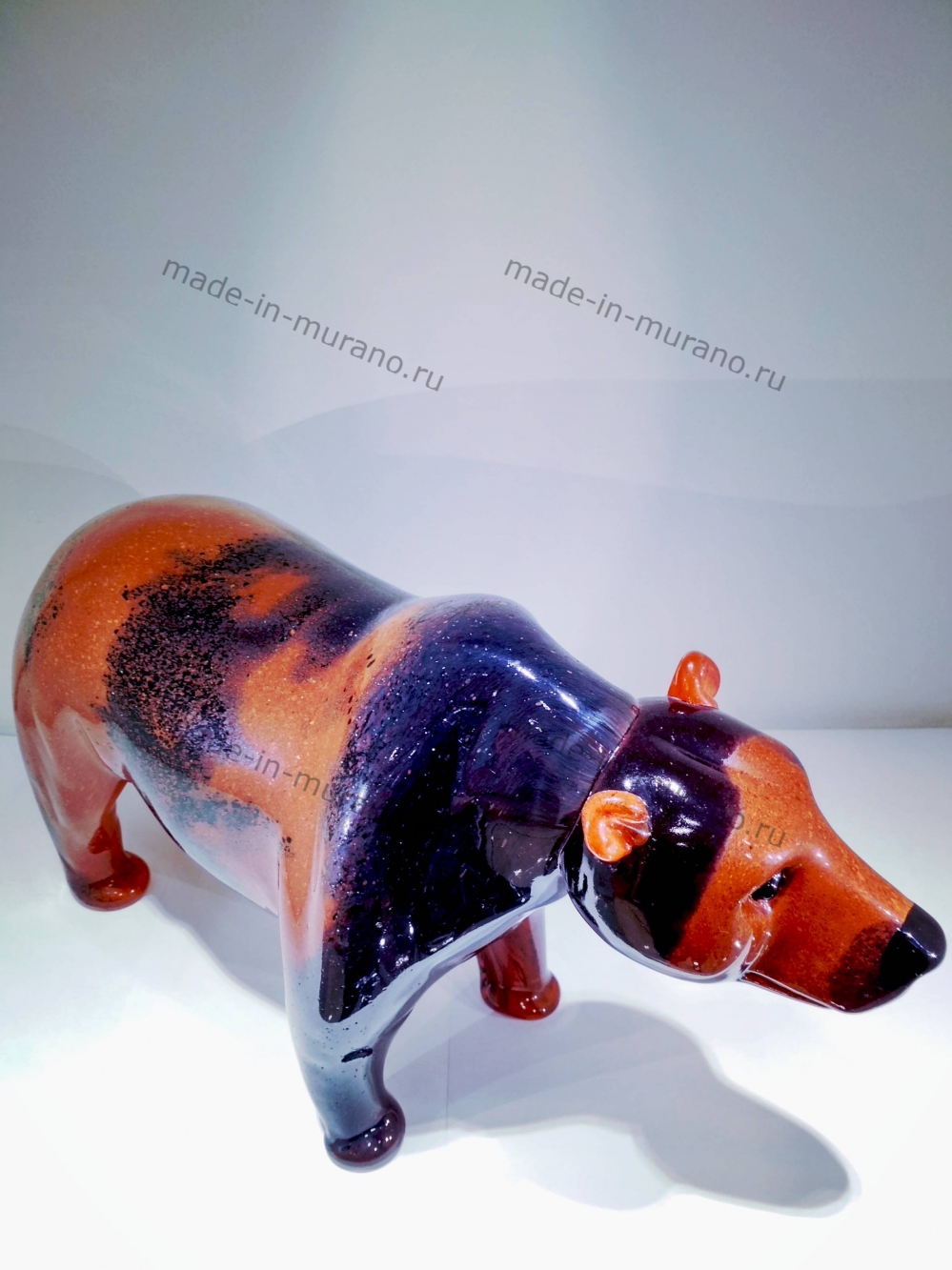 ������� Orso bruno