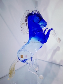 ���� Bucephalus Azzurro
