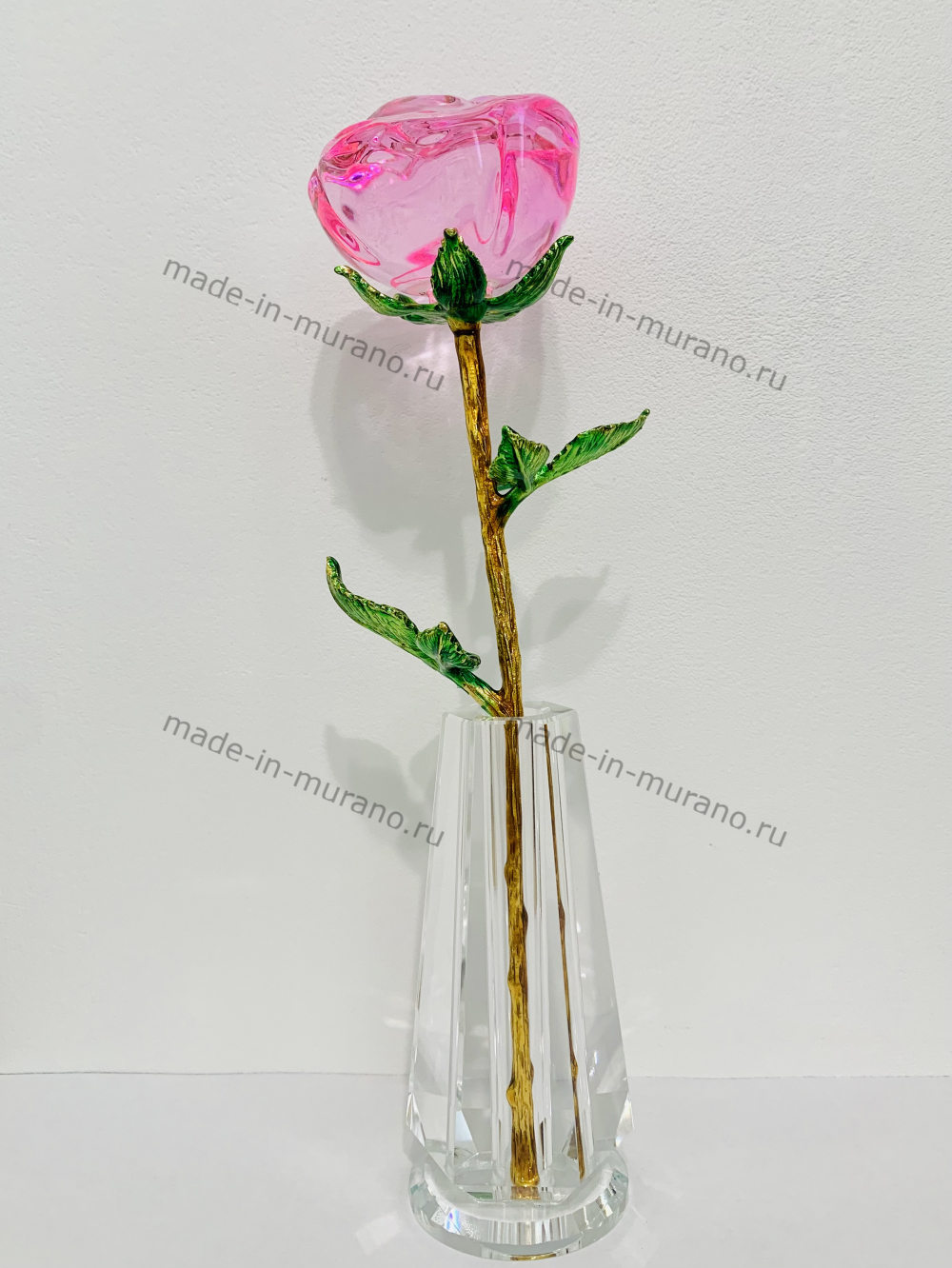 ���� � ���� La Rosa