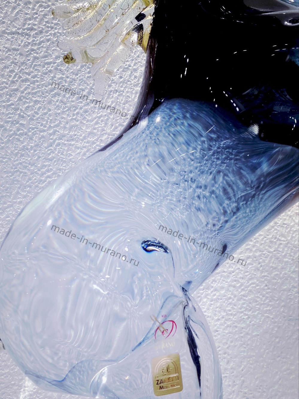 ���� Bucephalus medio