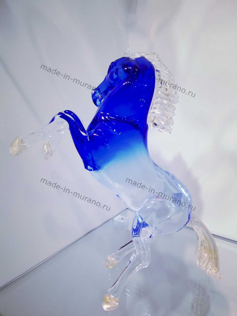 ���� Bucephalus Azzurro