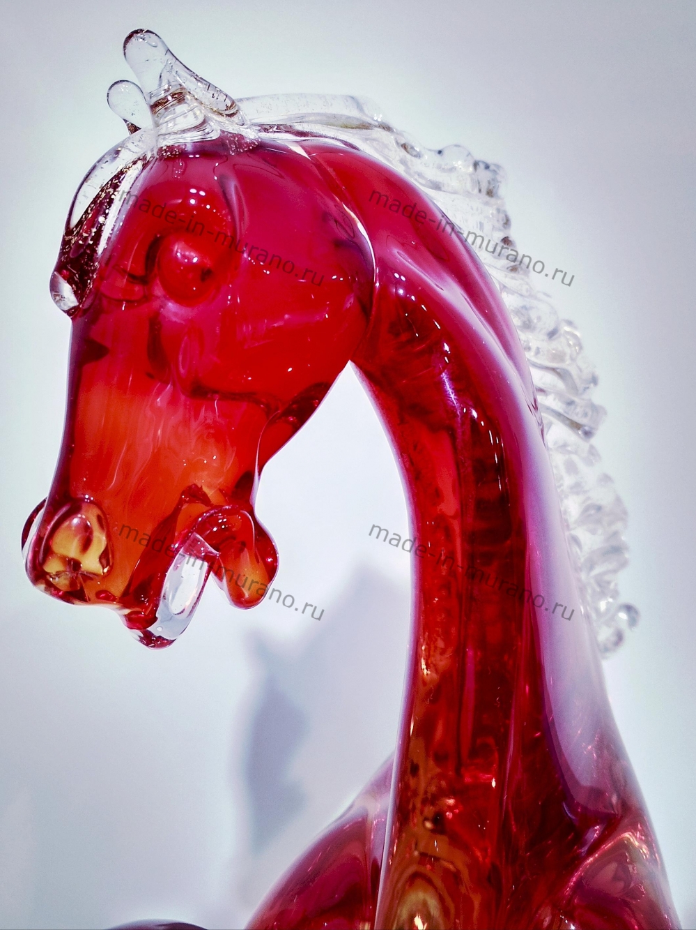 ���� Bucephalus Rosso