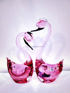 ���� ������� Rosa