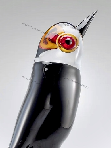 ������� Colibri