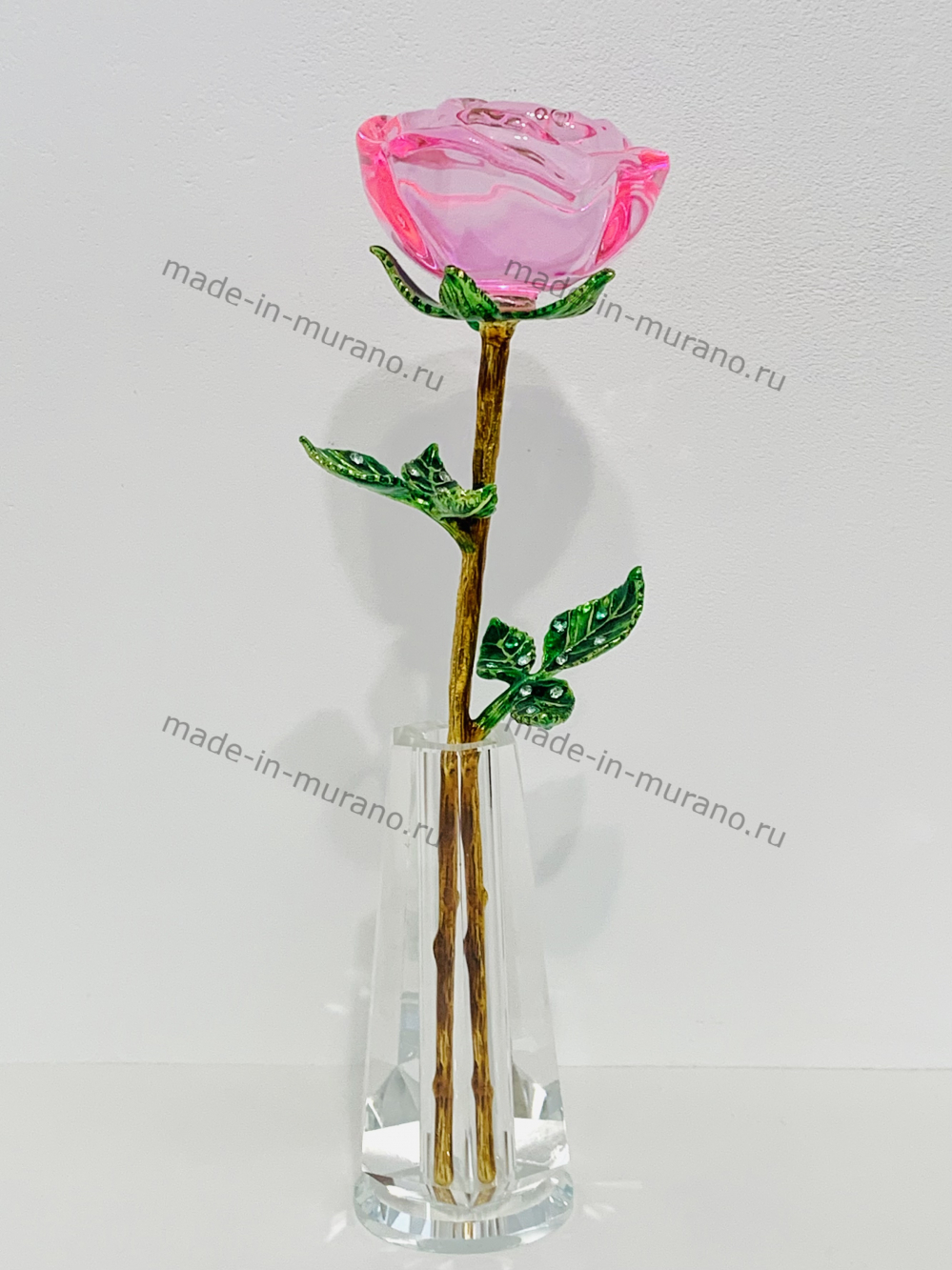 ���� � ���� La Rosa