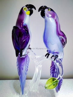 ���� ������������ Viola