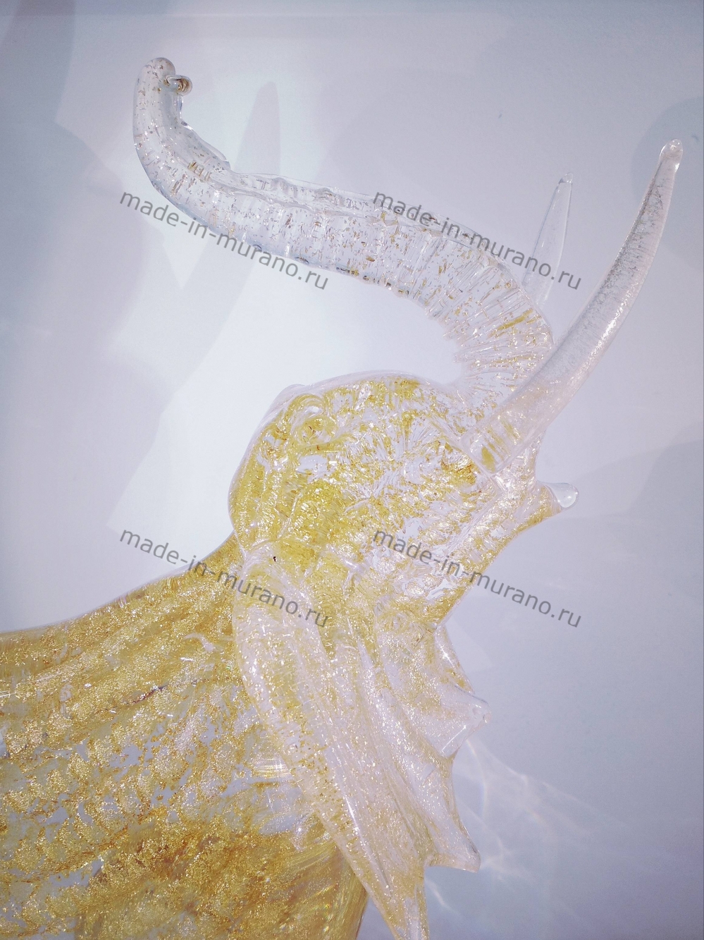 ���� d'Oro Grande