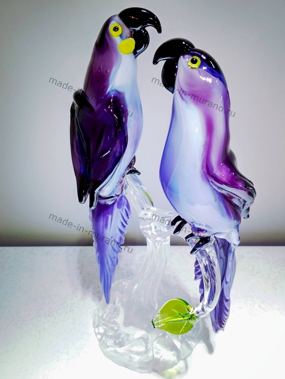 ���� ������������ Viola