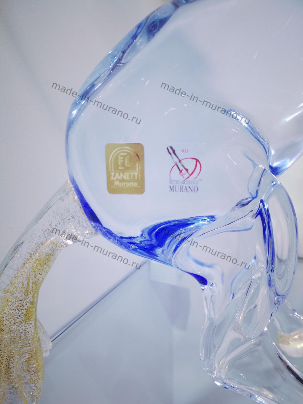 ���� Bucephalus Azzurro