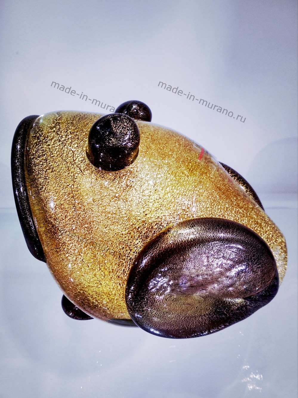������� d'oro grande