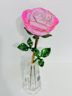 ���� � ���� La Rosa