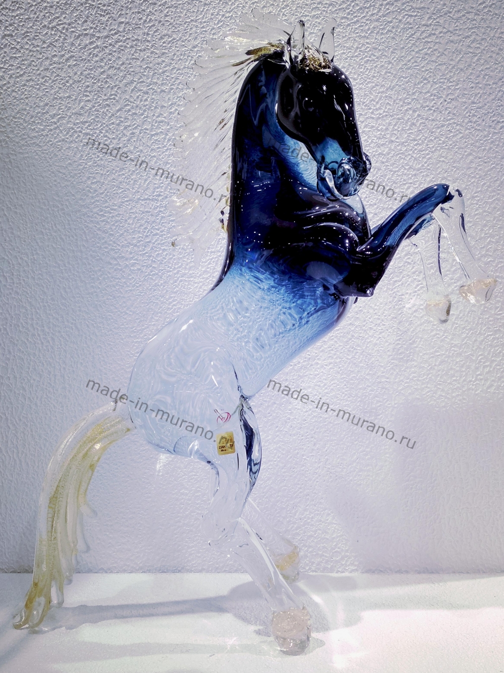 ���� Bucephalus medio
