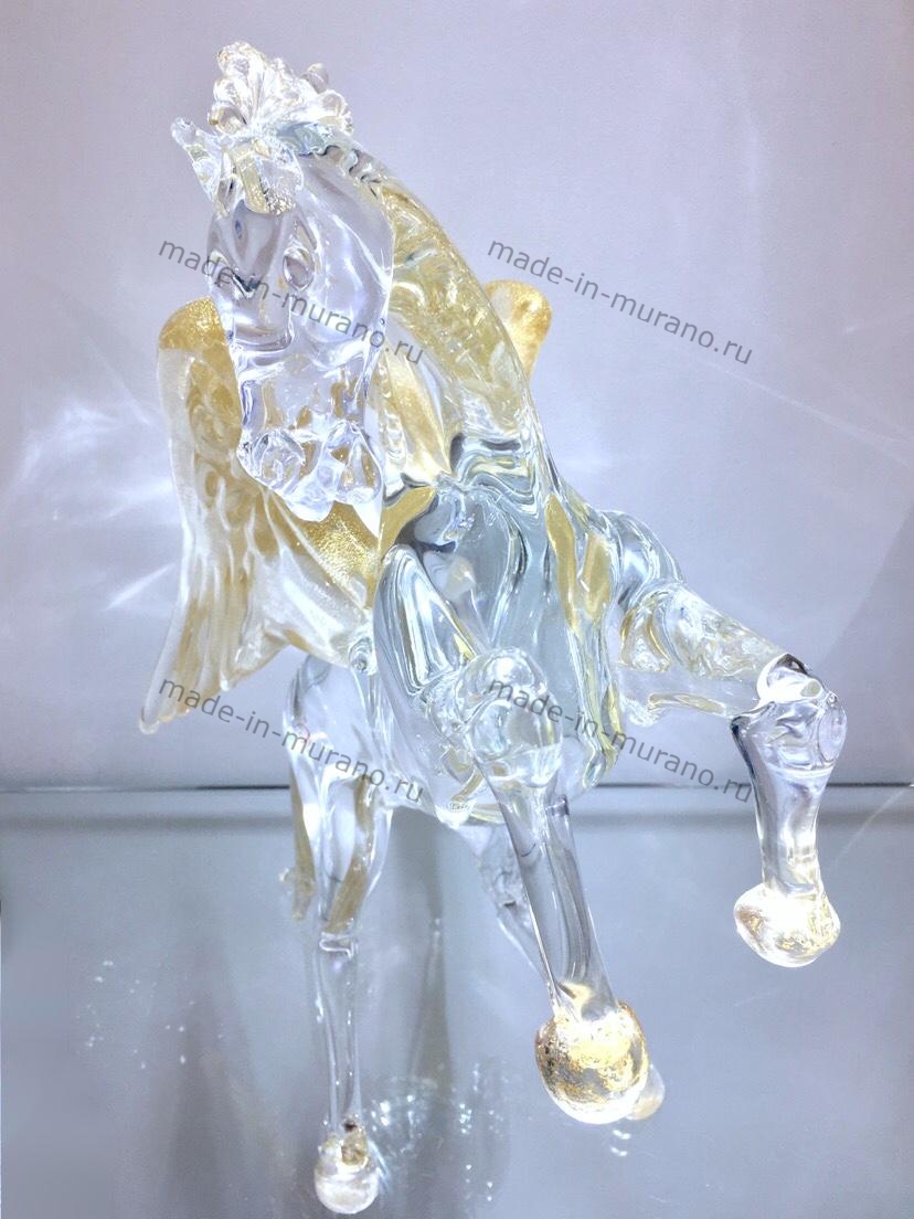 ����� Pegasus Fortuna