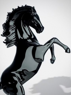 ���� Bucephalus Nero