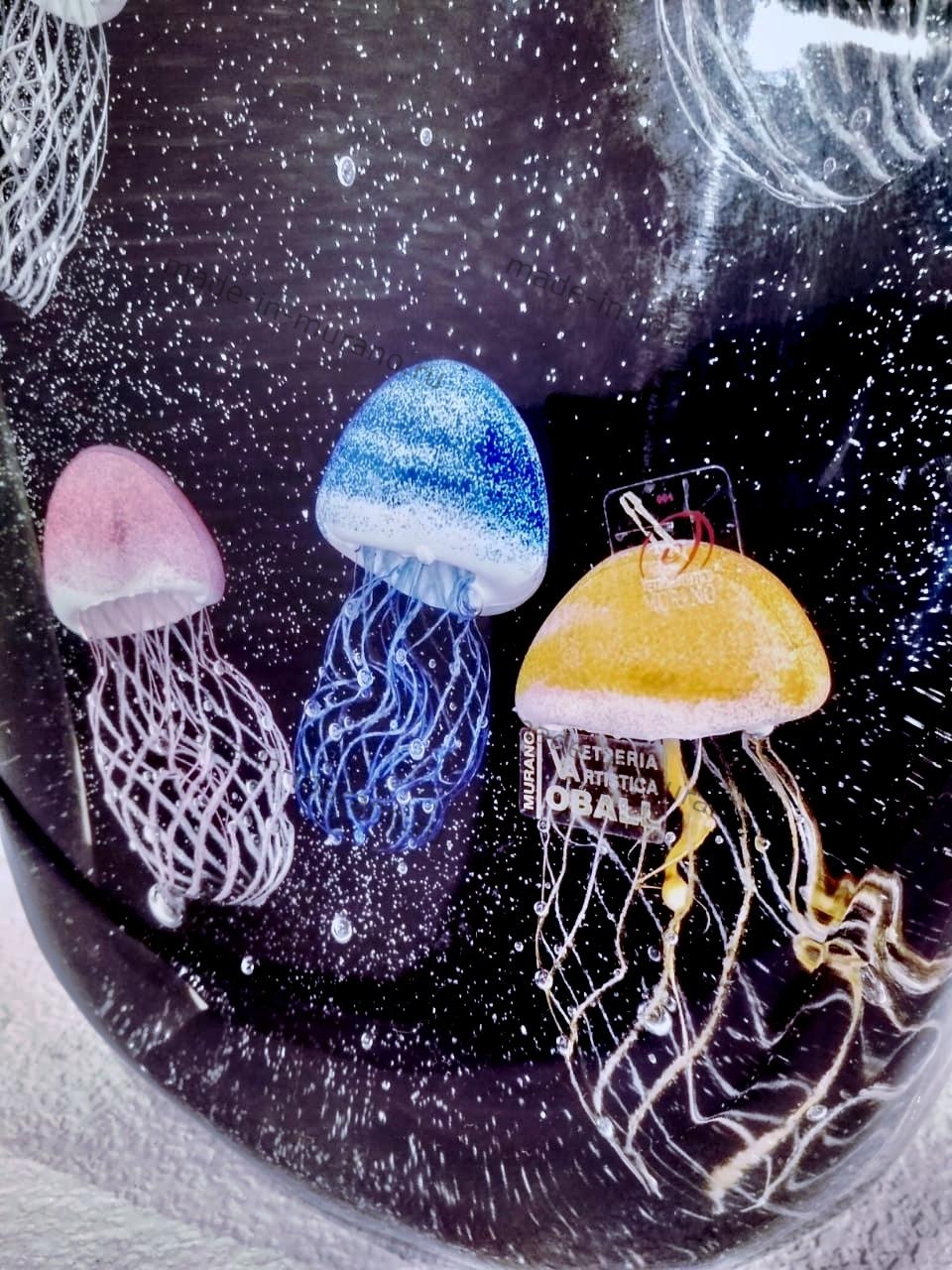 �������� Sei Meduse