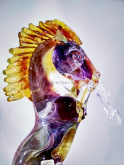���� Bucephalus Magico
