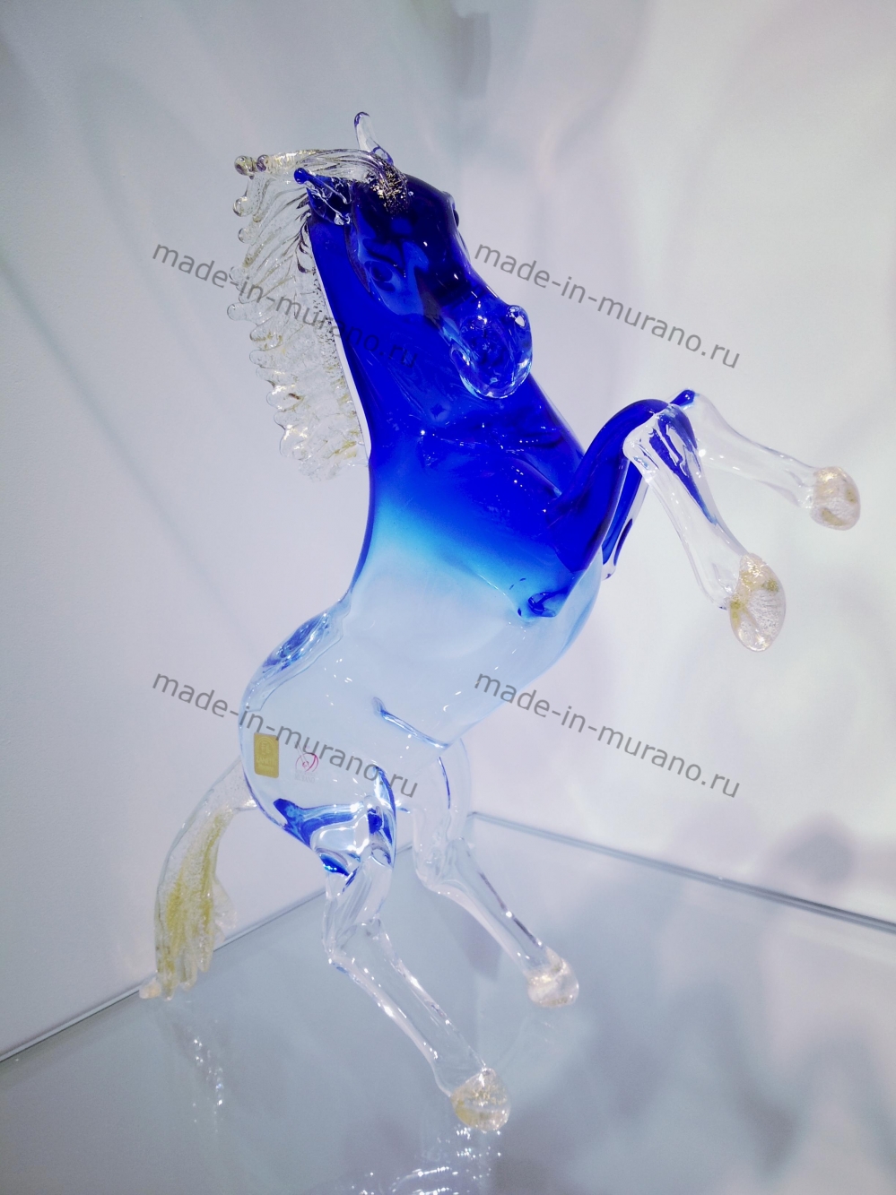 ���� Bucephalus Azzurro