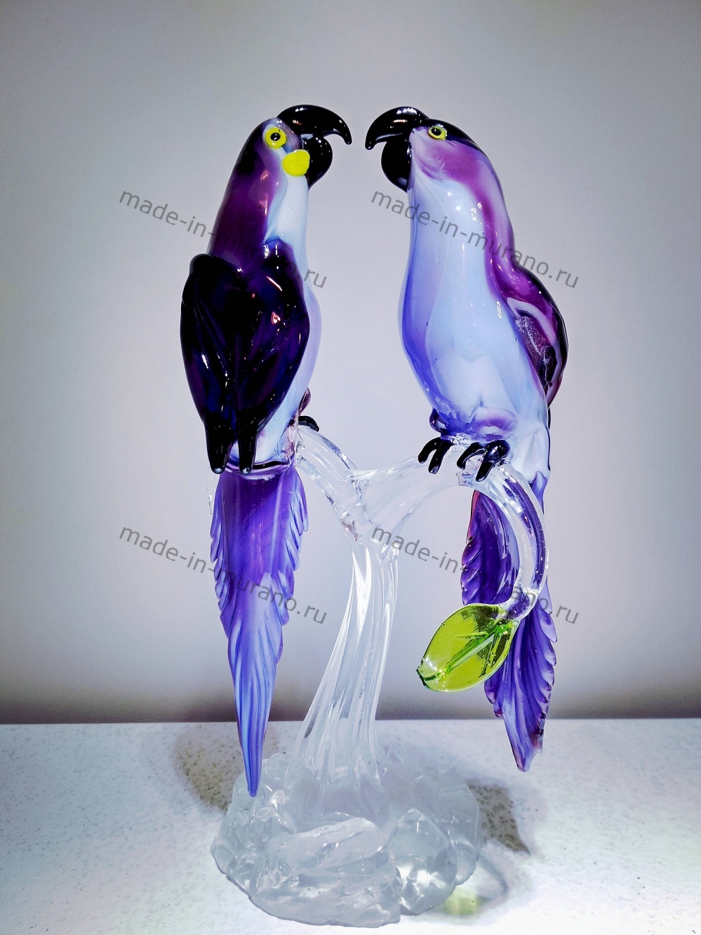 ���� ������������ Viola