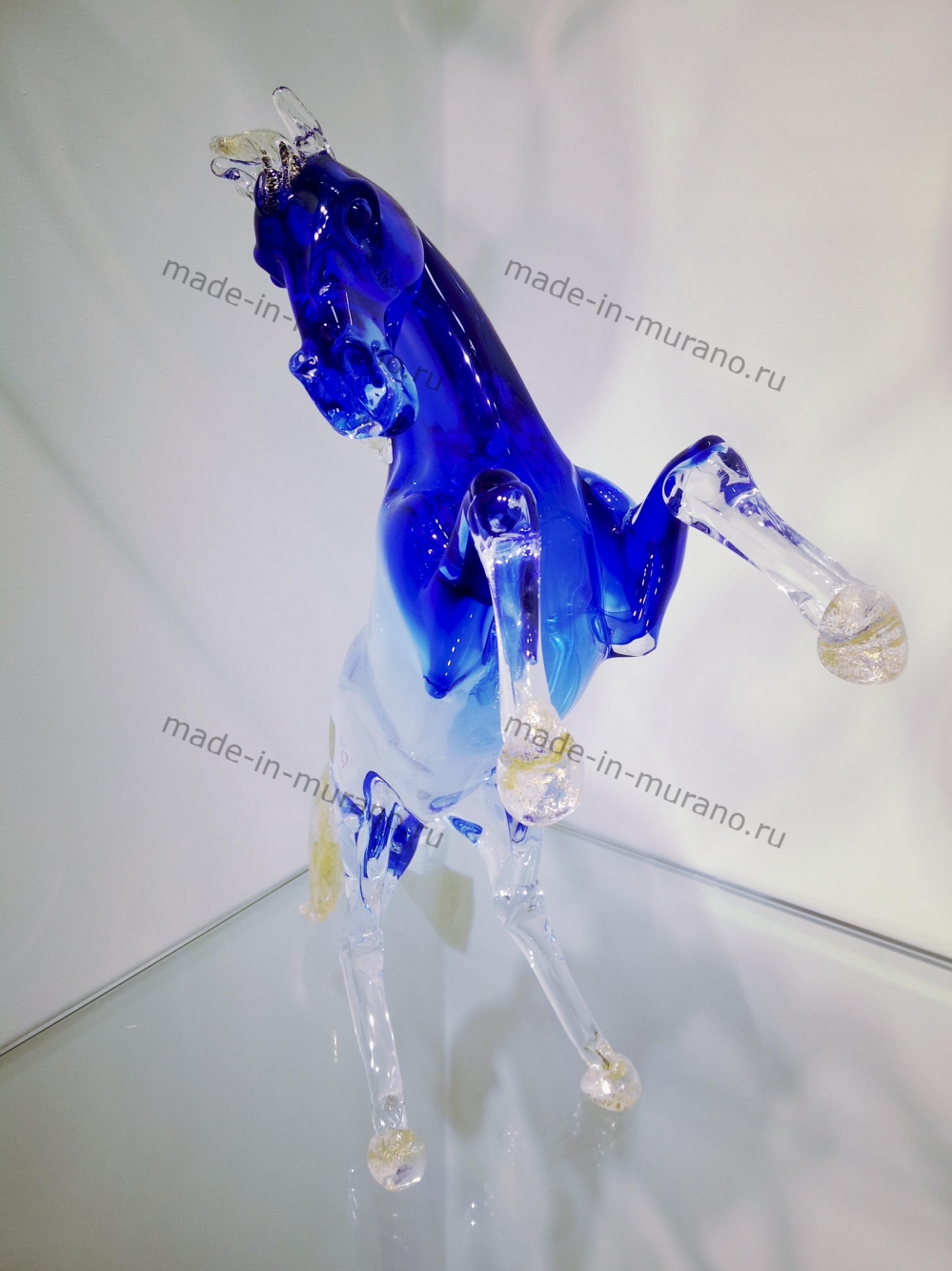 ���� Bucephalus Azzurro