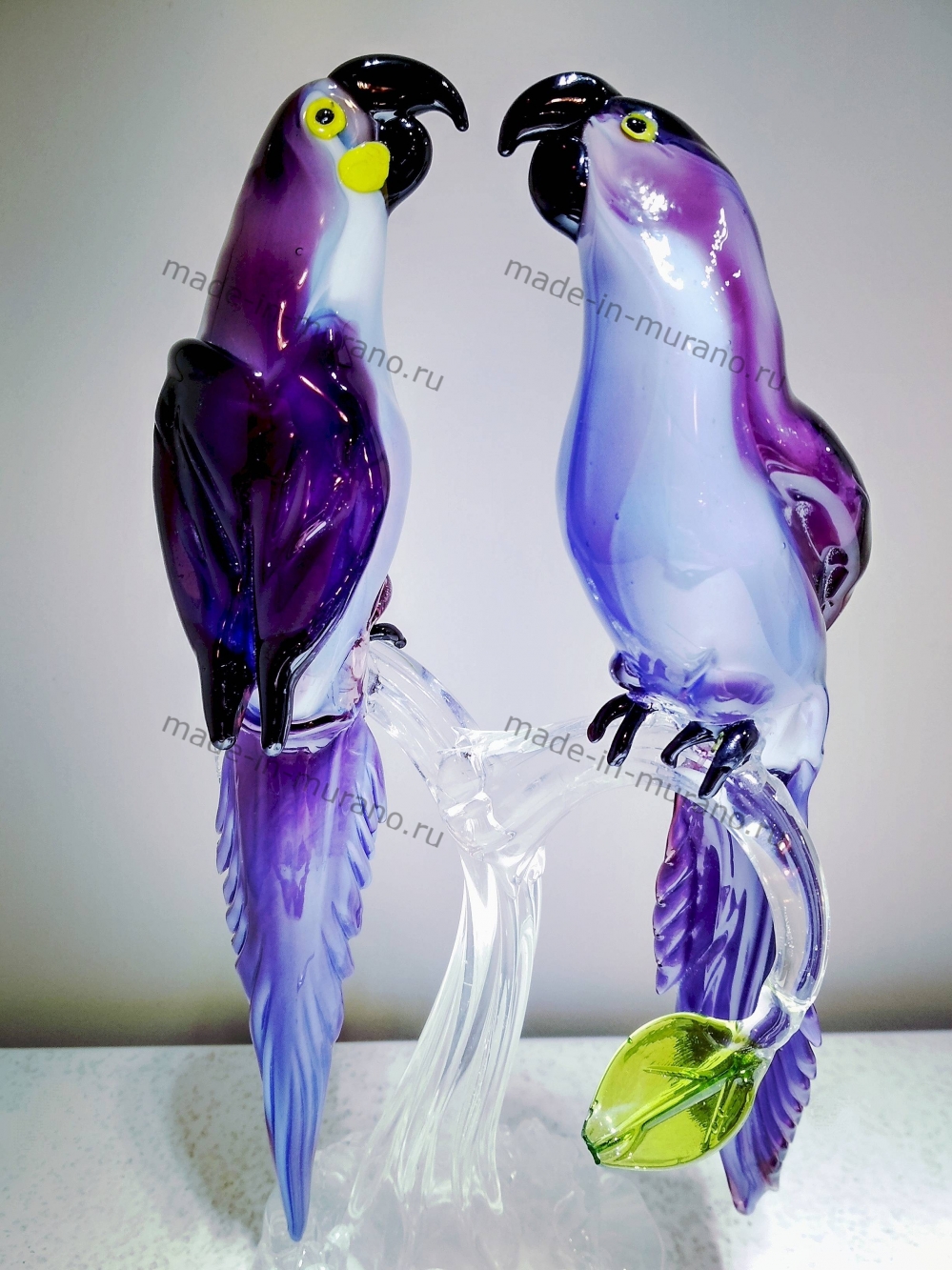 ���� ������������ Viola