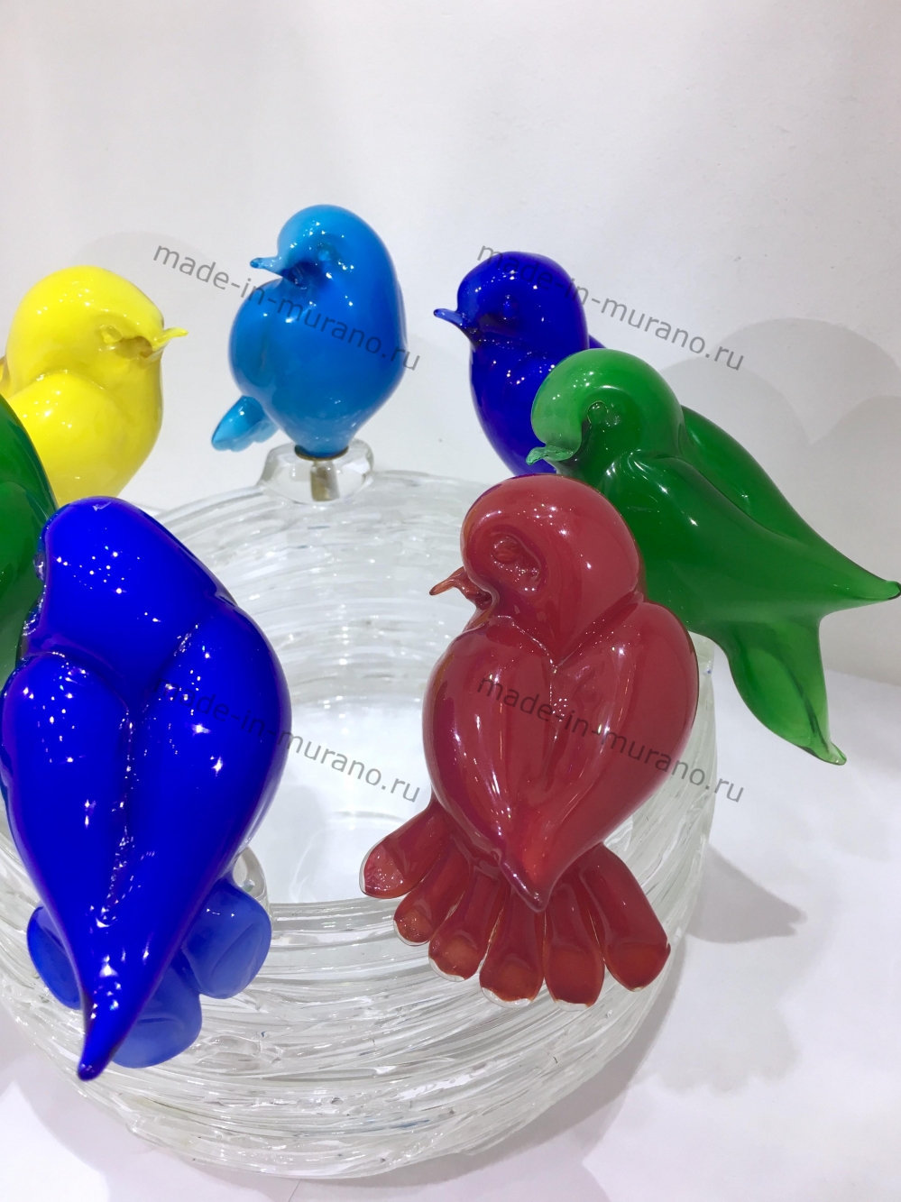 ���� � �������� Famiglia colore