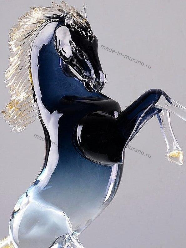 ���� Bucephalus grande