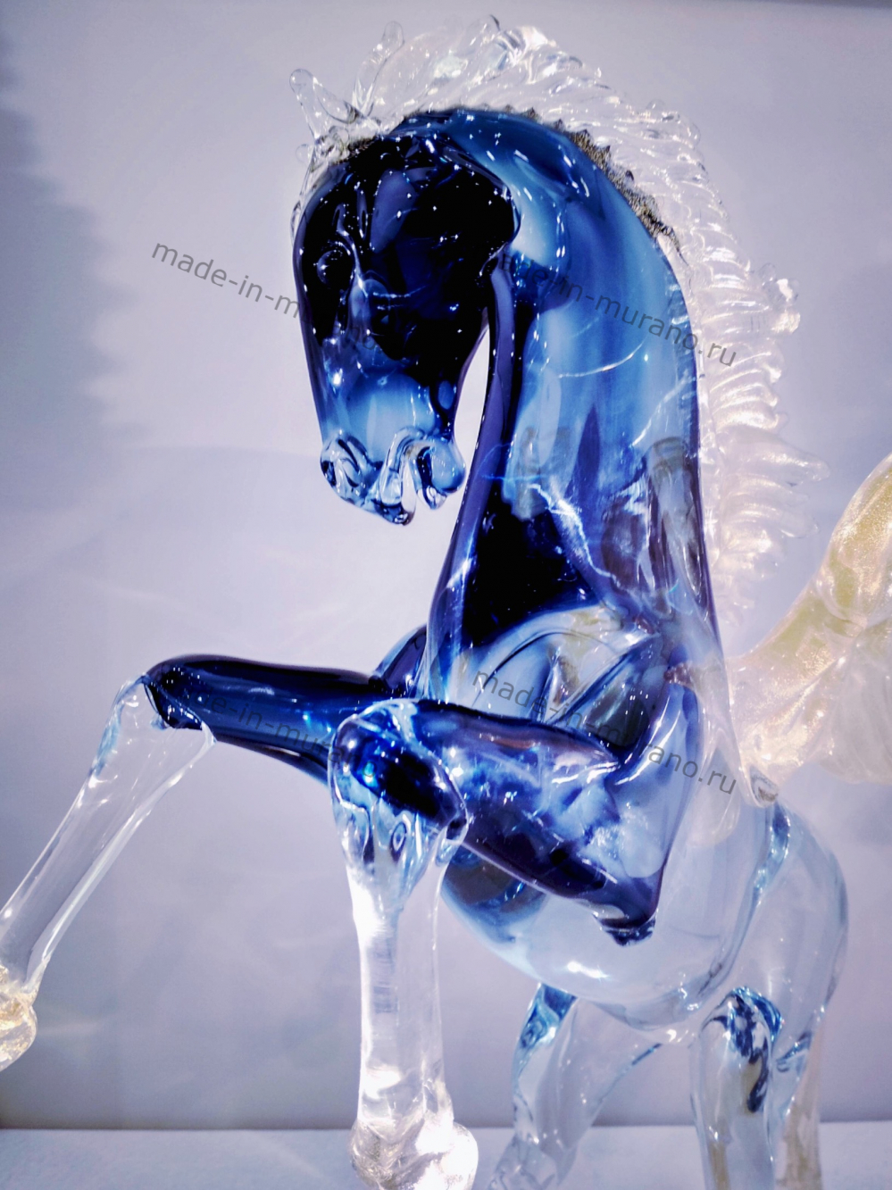 ����� Pegasus  Medio