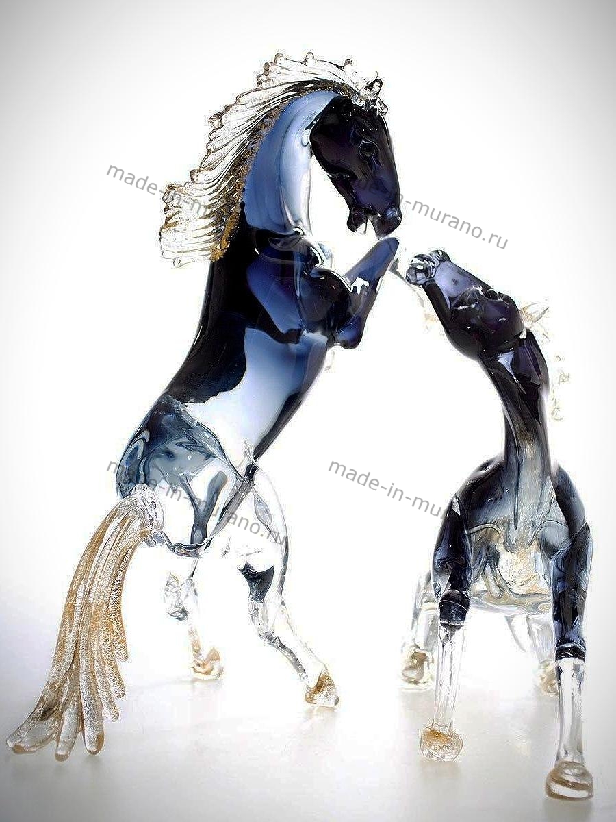 ���� Bucephalus grande