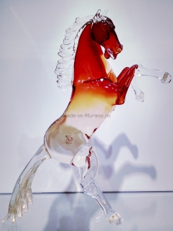 ���� Bucephalus Rosso