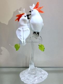 ������� ������ Bianco