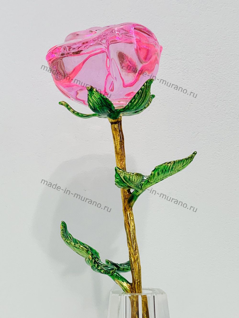 ���� � ���� La Rosa