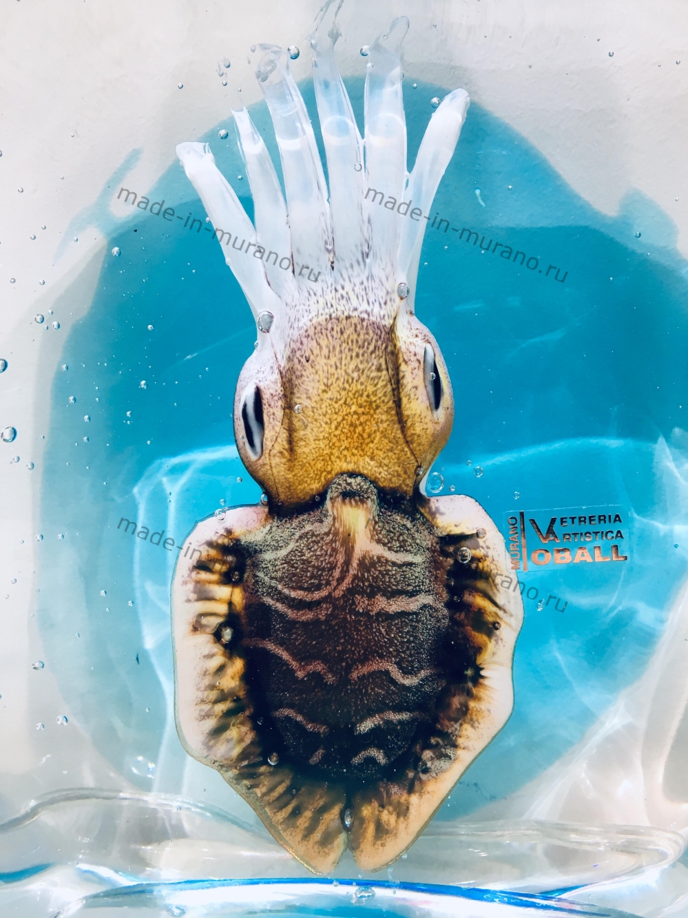 ���������� � ������ Seppia