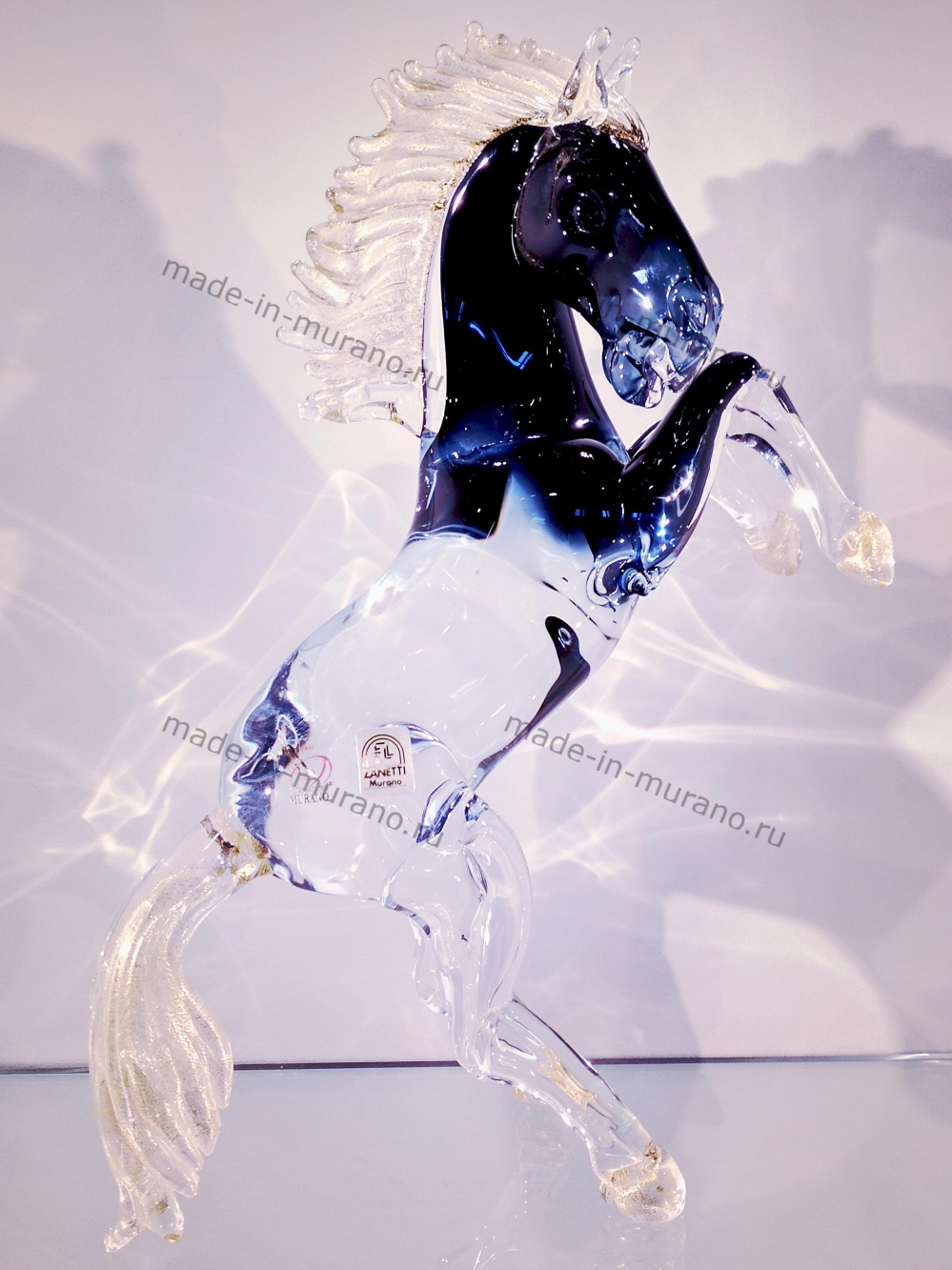���� Bucephalus mini