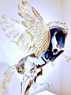����� Pegasus Fortunato Medio