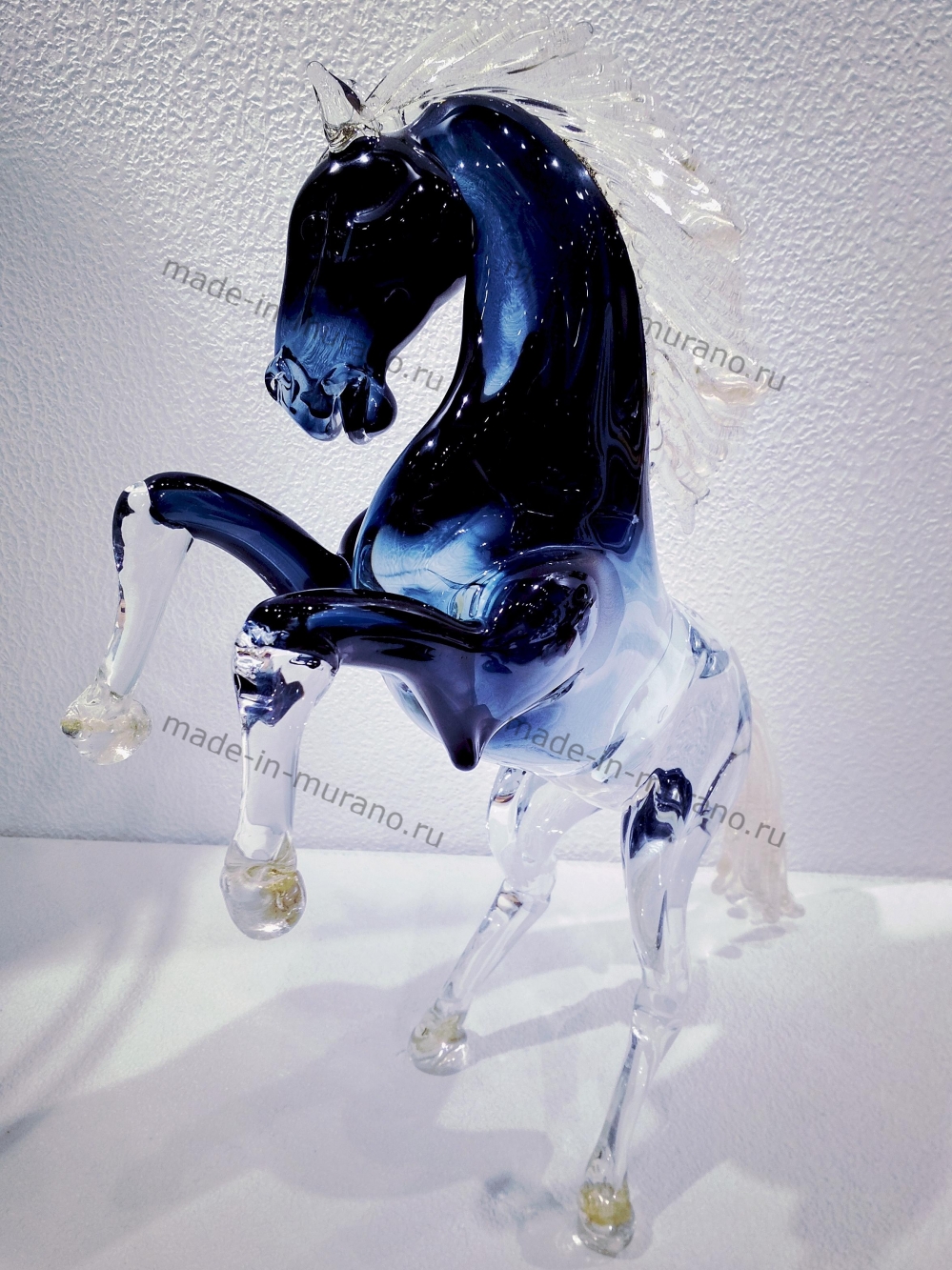 ���� Bucephalus medio
