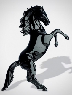 ���� Bucephalus Nero