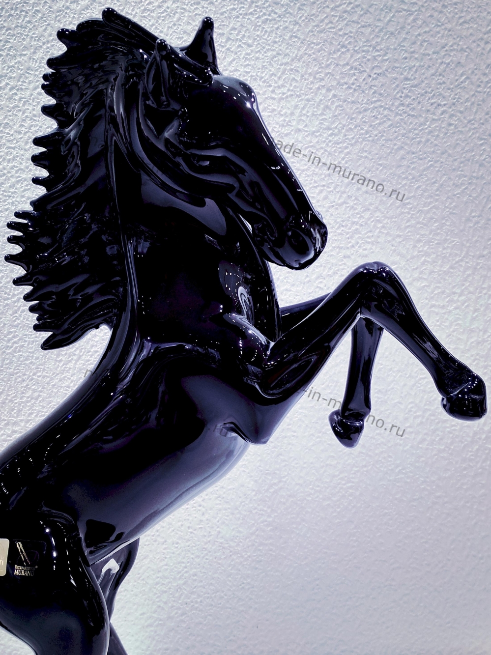 ���� Bucephalus Nero