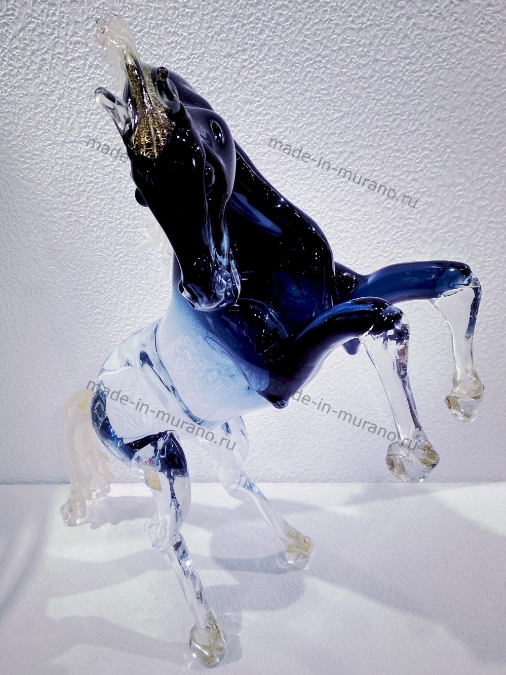 ���� Bucephalus medio