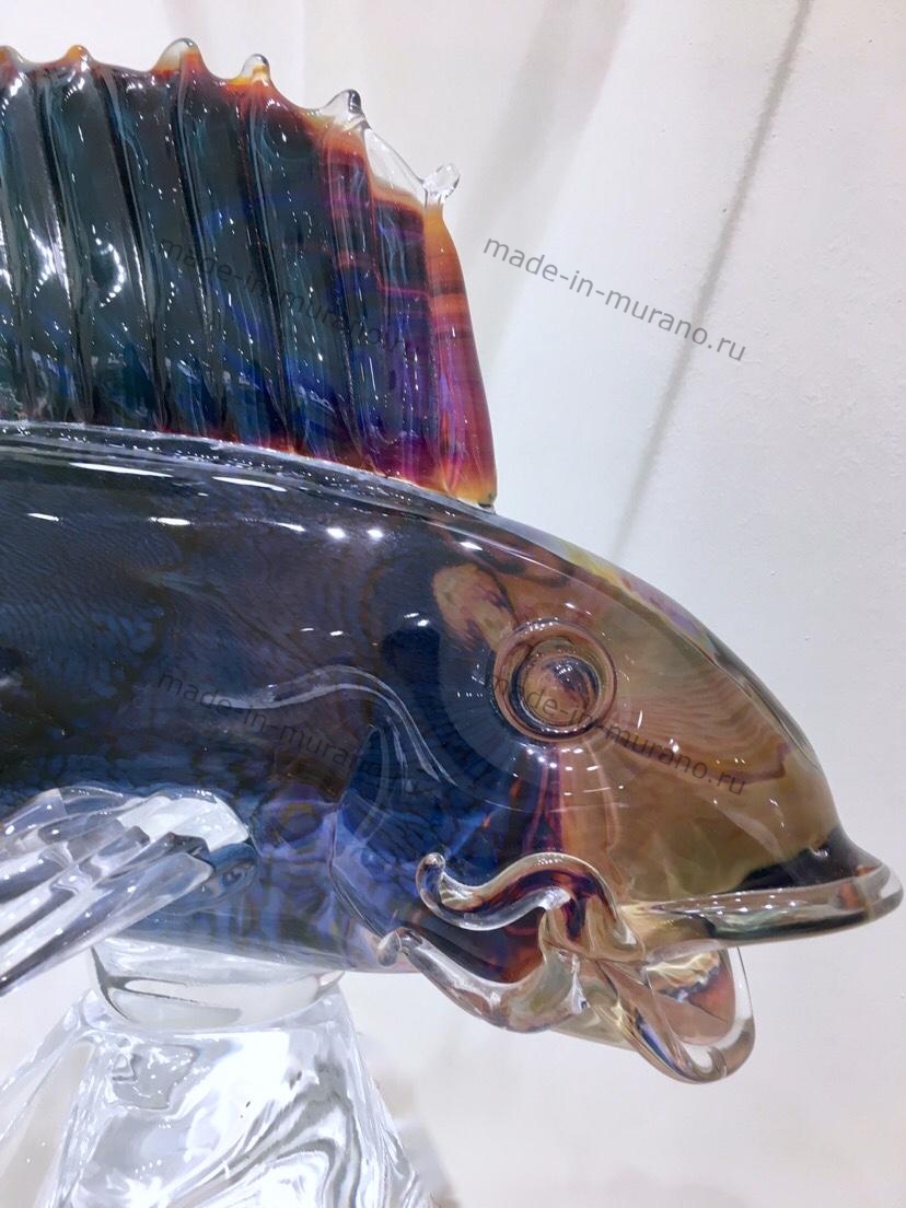 ������� ����� Branzino