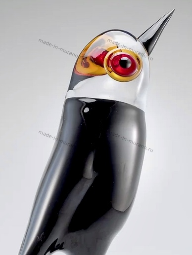 ������� Colibri
