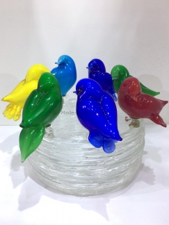 ���� � �������� Famiglia colore